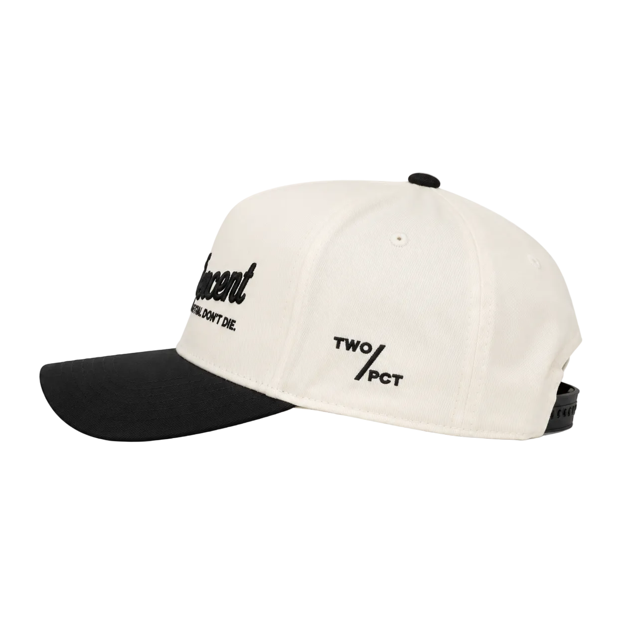 Two Percent Snapback Hat